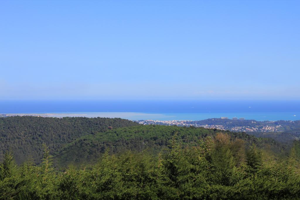 Maison D'Hotes Bleu Azur Tourrettes-sur-Loup Exteriör bild